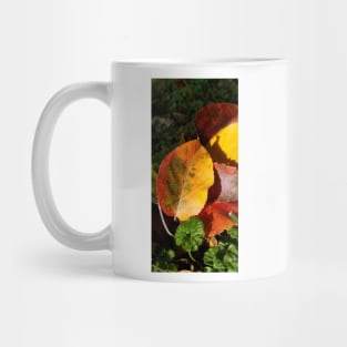 Fall colors Mug